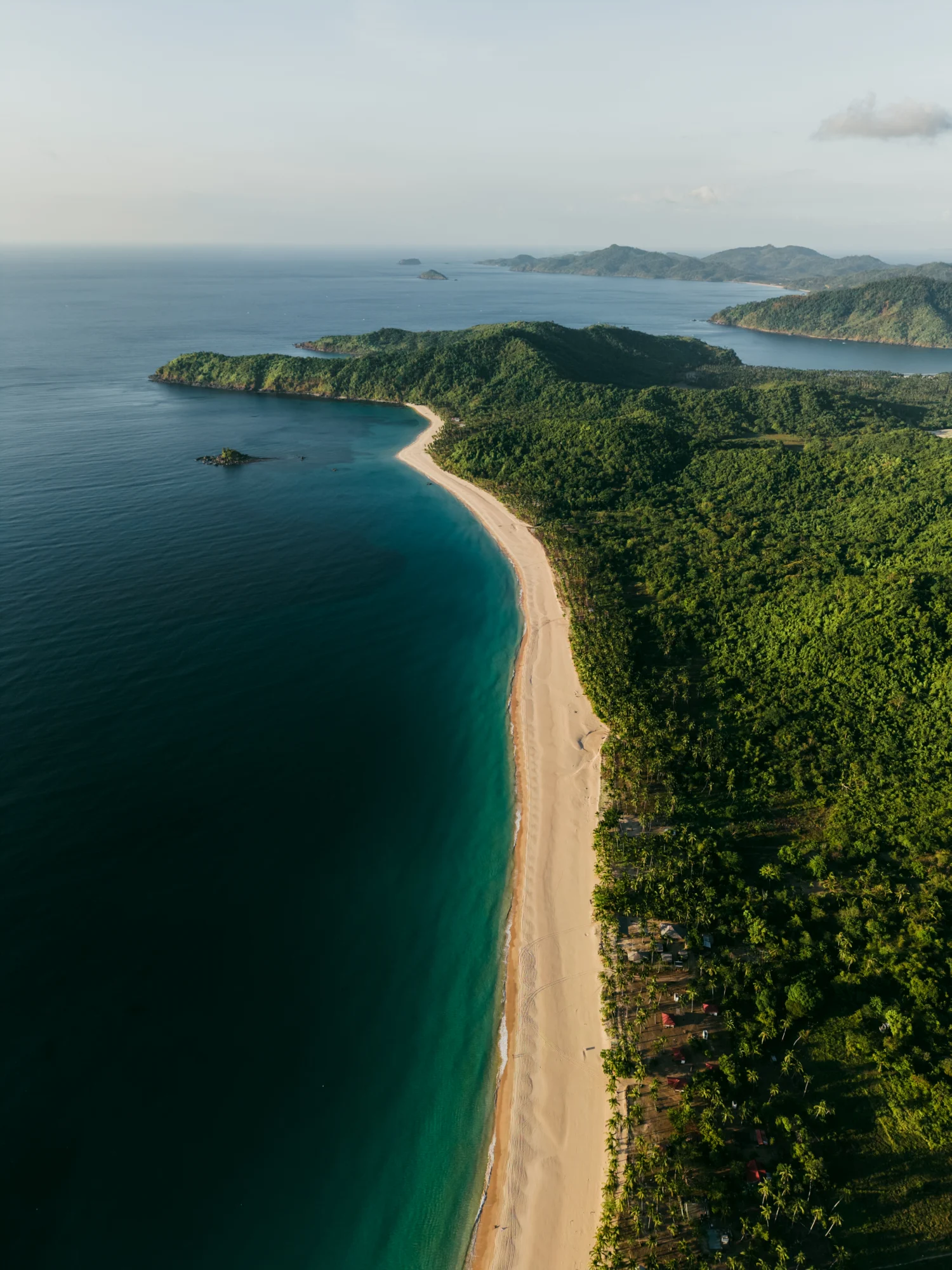 Aerial view of Nacpan Beach curving beside palm trees and turquoise water in El Nido